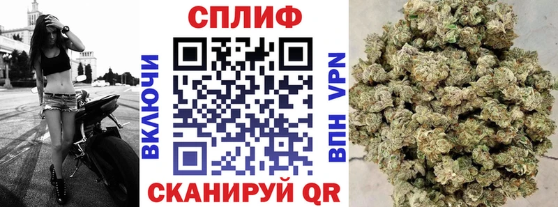 Бошки Шишки MAZAR  мега ссылка  Яранск  магазин продажи  